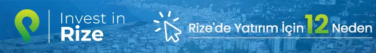 Invest in Rize
